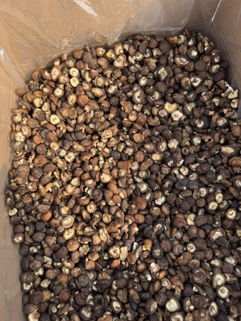 包邮油面新冬菇2～2.5～3厘米干香菇量大从优