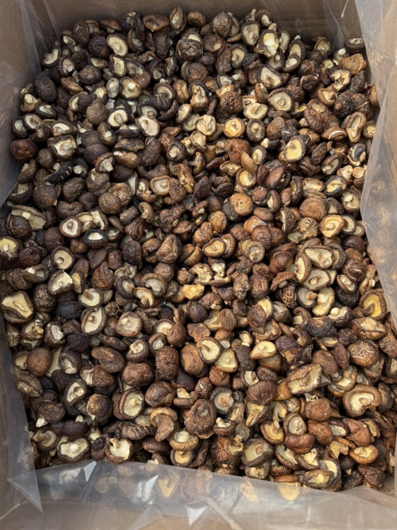 包邮油面新冬菇2～2.5～3厘米干香菇量大从优