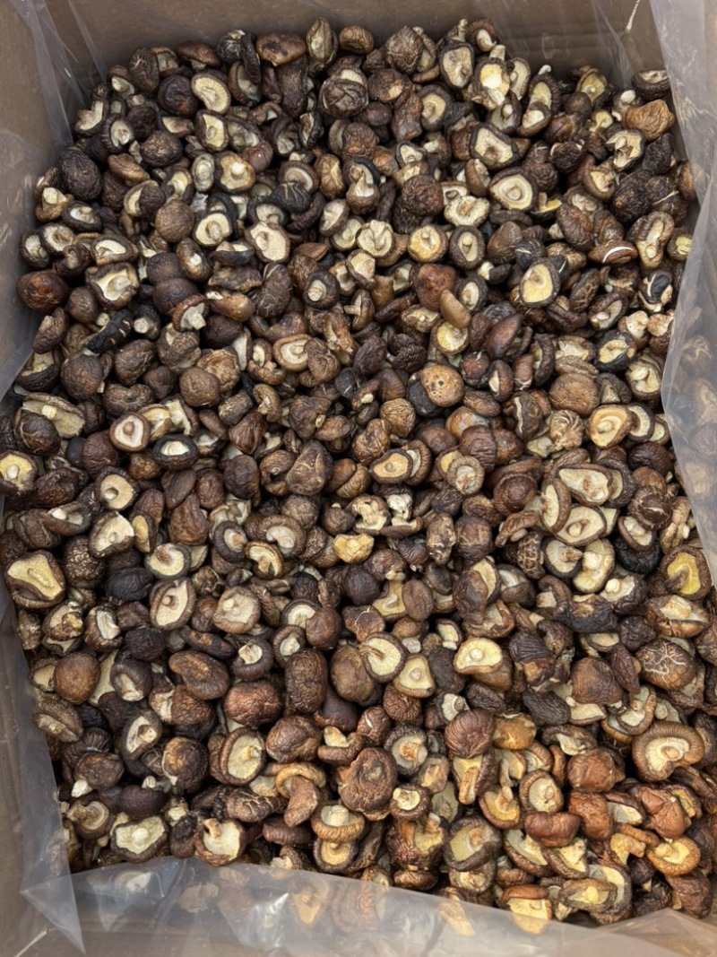 包邮油面新冬菇2～2.5～3厘米干香菇量大从优