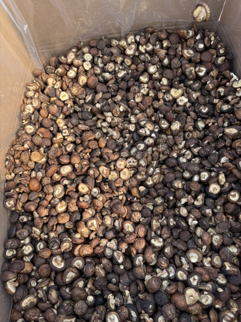 包邮油面新冬菇2～2.5～3厘米干香菇量大从优