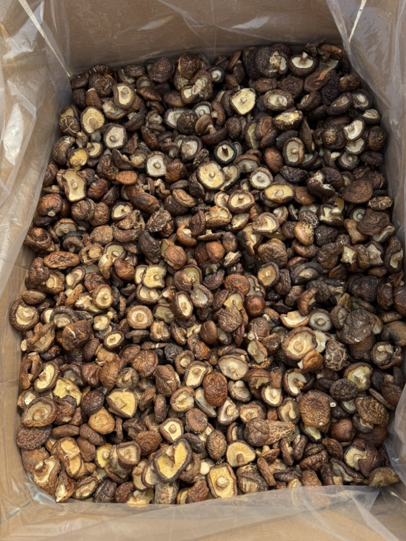 包邮油面新冬菇2～2.5～3厘米干香菇量大从优