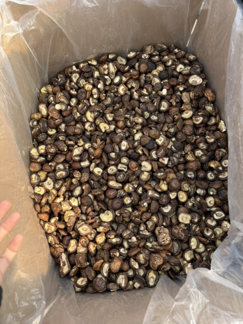 包邮油面新冬菇2～2.5～3厘米干香菇量大从优