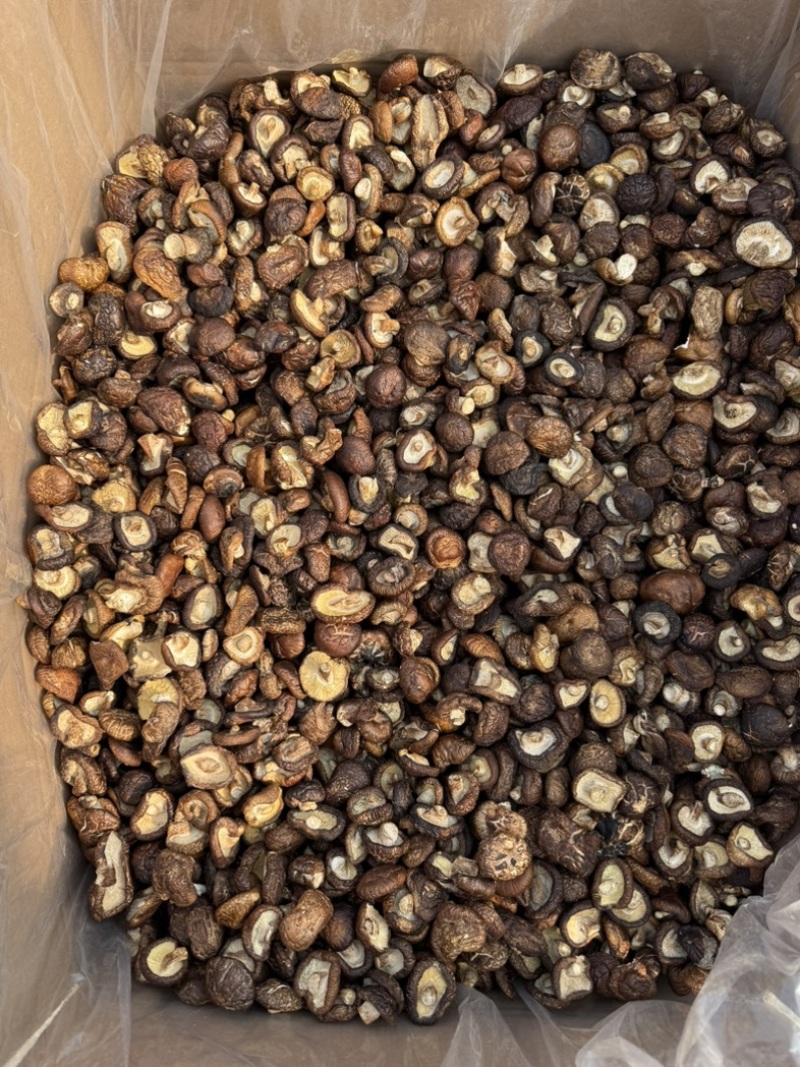 包邮油面新冬菇2～2.5～3厘米干香菇量大从优