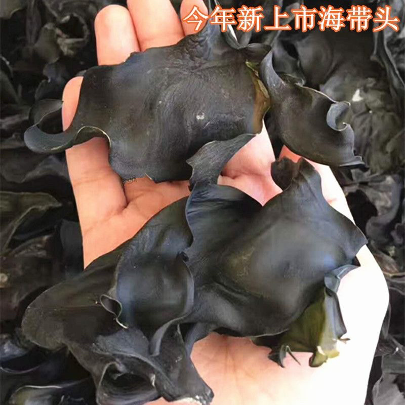 纯干海带头地摊电商批发全干海带头海带片干海带海带干海带