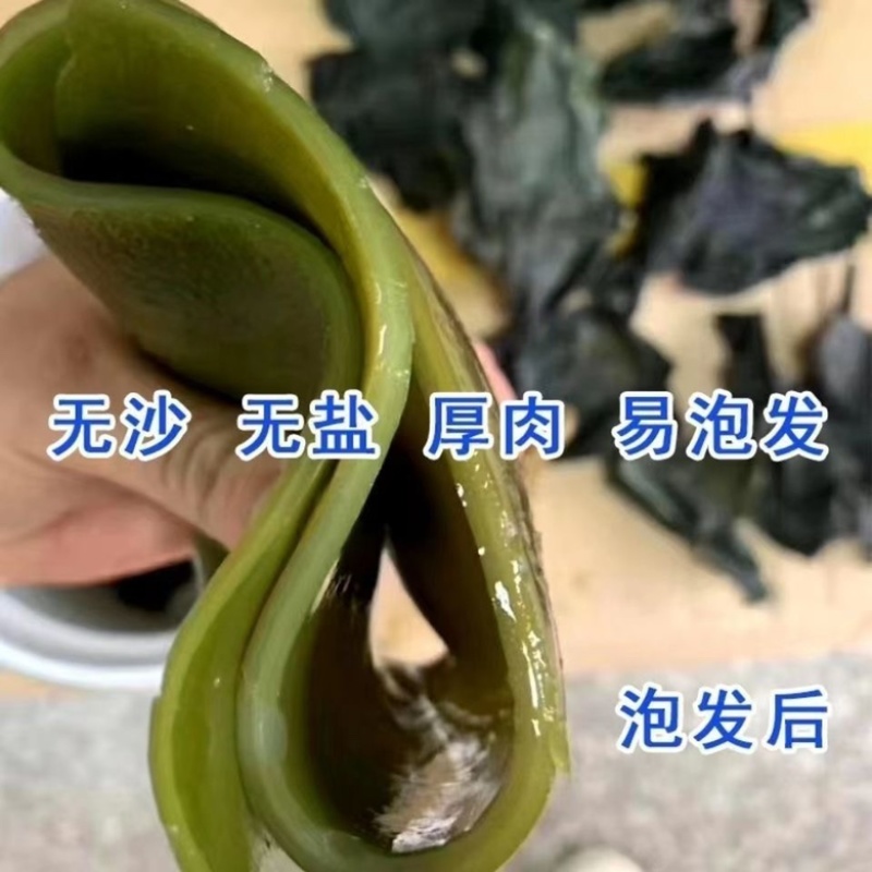 纯干海带头地摊电商批发全干海带头海带片干海带海带干海带