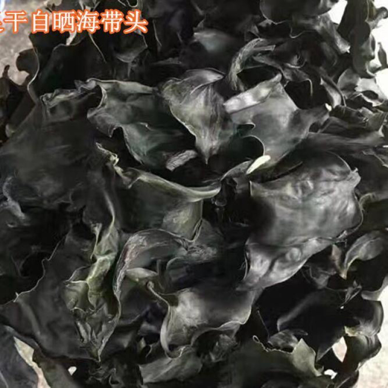 纯干海带头地摊电商批发全干海带头海带片干海带海带干海带