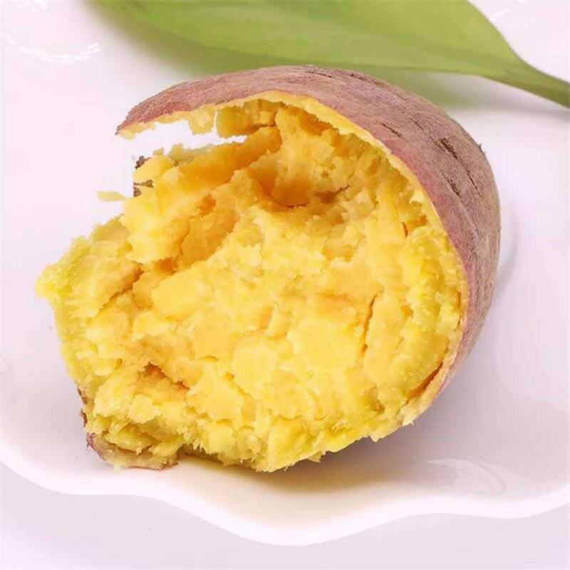 粉糯香栗子薯新鲜红薯黄心番薯板栗红薯鸡蛋黄地瓜香薯板栗薯