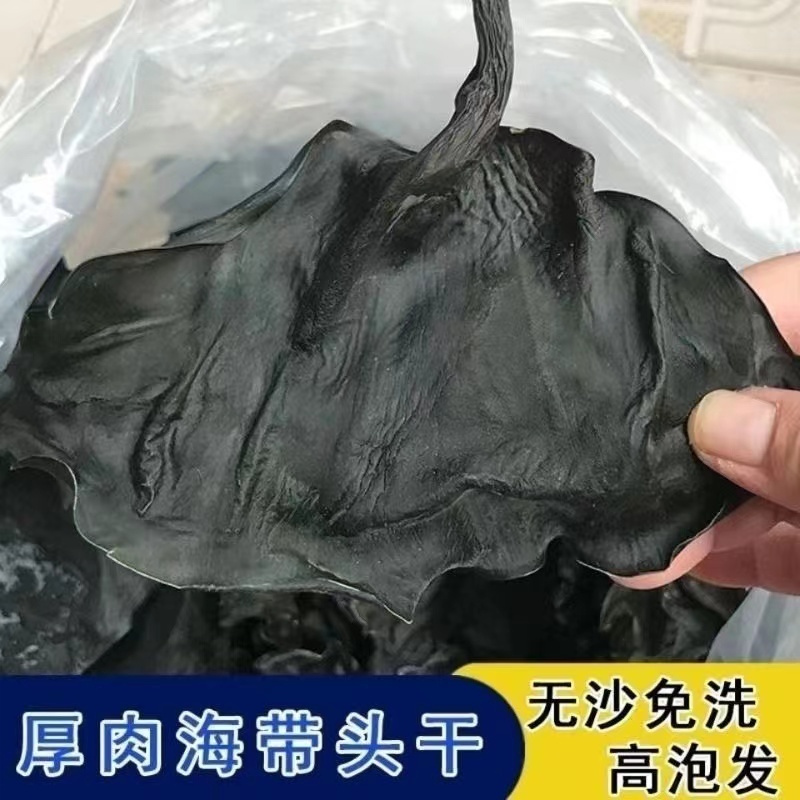 纯干海带头地摊批发电商全干海带头海带片海皮海带皮海带干