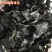 纯干海带头地摊批发电商全干海带头海带片海皮海带皮海带干
