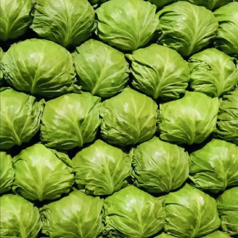 优质宣甘蓝，无虫眼，黄心，个头均匀，大量有货
