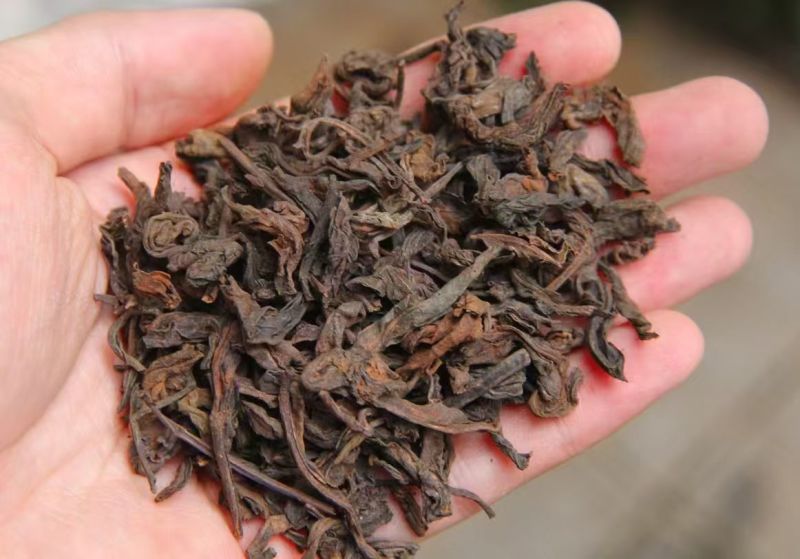 古树熟茶：古树春茶渥堆发酵，会带来感觉丰富的口感，