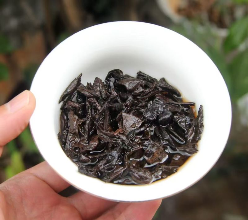 古树熟茶：古树春茶渥堆发酵，会带来感觉丰富的口感，