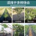 大棚配套设施地布防草布