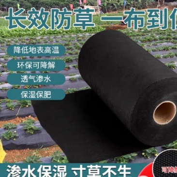 大棚配套设施地布防草布