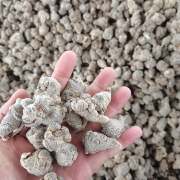 云南文山60头三七，一手货源，可切片切丝磨粉