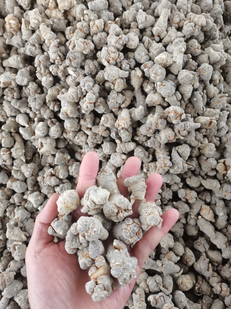 云南文山60头三七，一手货源，可切片切丝磨粉