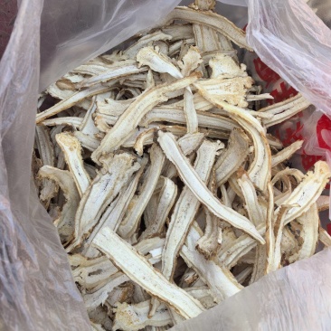 甘肃独活头片，全片