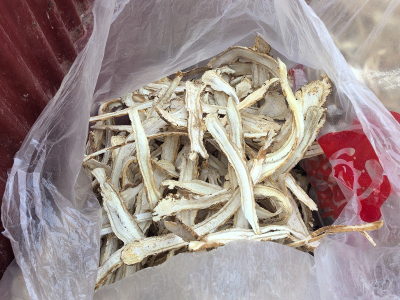 甘肃独活头片，全片