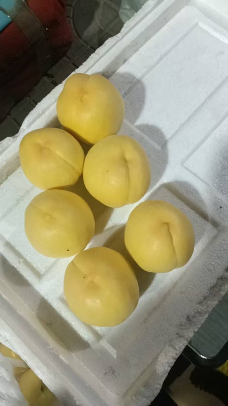 春雪水蜜桃一件代发，**电商微商