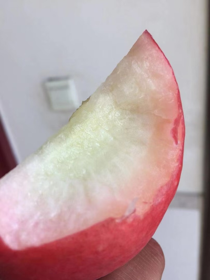 春雪水蜜桃一件代发，**电商微商