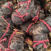 陈皮新会陈皮500g包泡茶饮一手货源量大从优