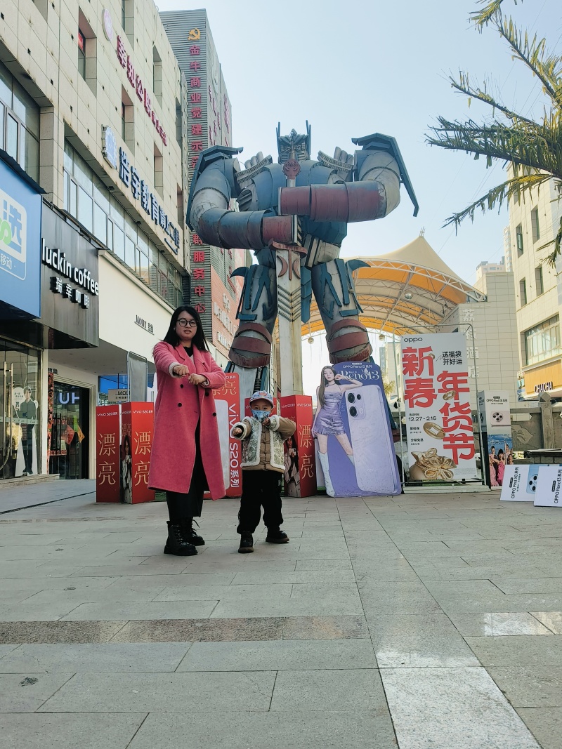 甘肃省定西市岷县党参种子