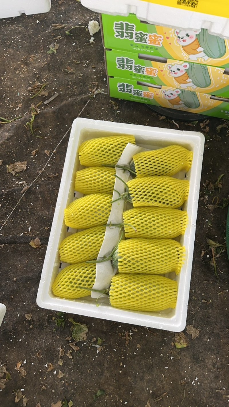 费县蜜源18大量供应大量接单产地直发