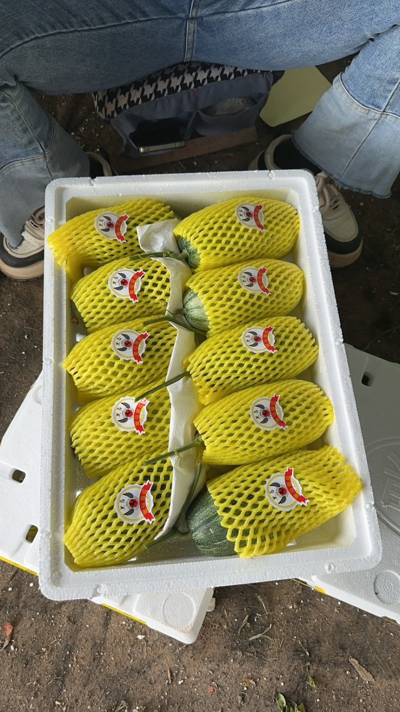费县蜜源18大量供应大量接单产地直发