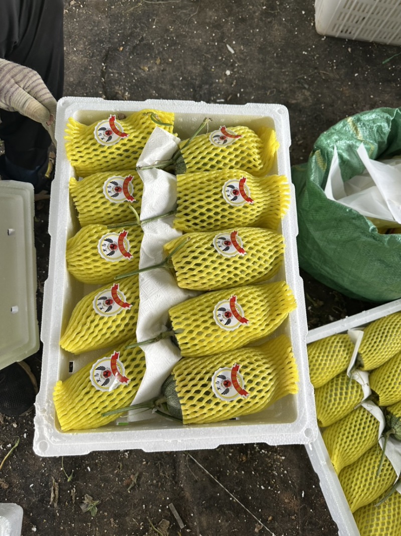 费县蜜源18大量供应大量接单产地直发