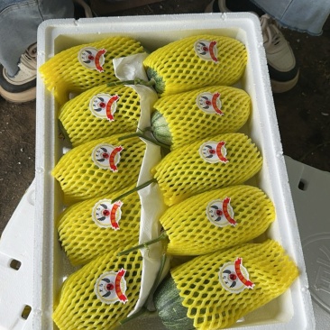 费县蜜源18大量供应大量接单产地直发