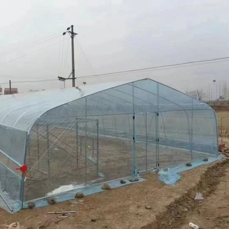 全套大棚骨架钢管蔬菜种菜保温种植温室家用西瓜草莓椭圆管棚定制