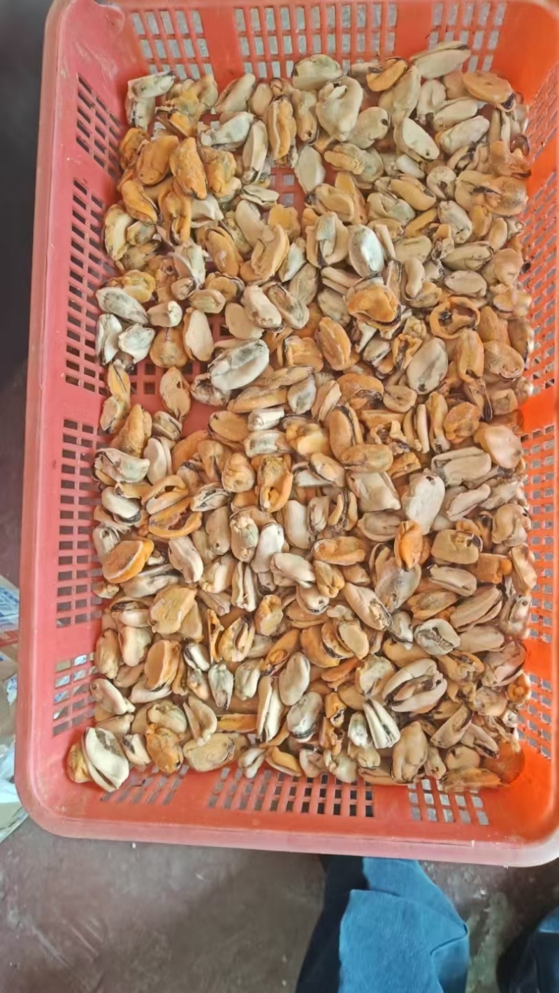贻贝(海虹肉)贻贝肉大量上市，岀囗国内外食品，需要的老板们