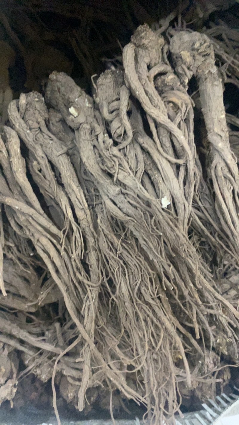 当归直供24小时不间断服务全国范围快速送达