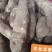洋瓜根（土耳芍）佛手瓜的根薯，煲汤/炒各式做法都不错