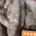 洋瓜根（土耳芍）佛手瓜的根薯，煲汤/炒各式做法都不错