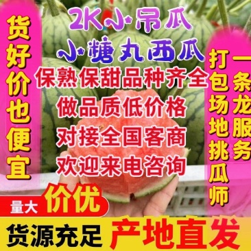 小糖丸，小吊瓜，全美2k小吊瓜，小糖丸西瓜，小糖丸西瓜