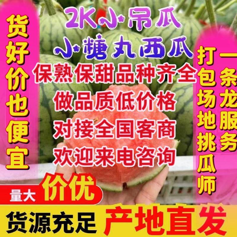 小糖丸，小吊瓜，全美2k小吊瓜，小糖丸西瓜，小糖丸西瓜