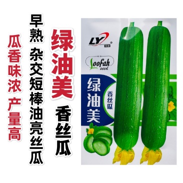 绿油美香丝瓜种子短棒油亮丝瓜种籽杂交油绿丝瓜品种瓜香味浓
