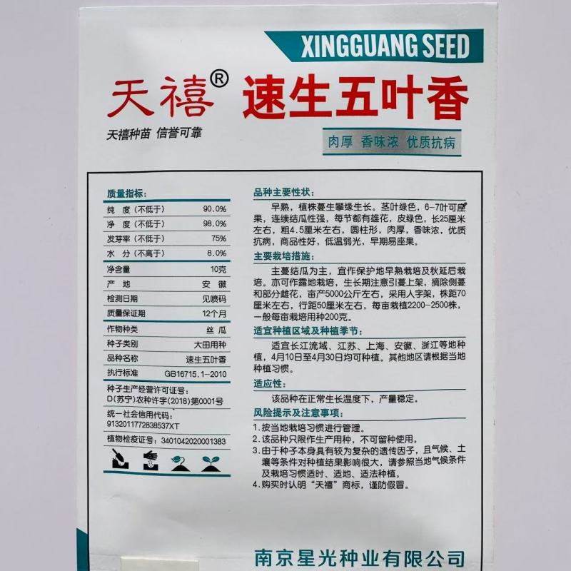 天禧速生五叶香丝瓜种子连续结瓜性强肉厚香味浓