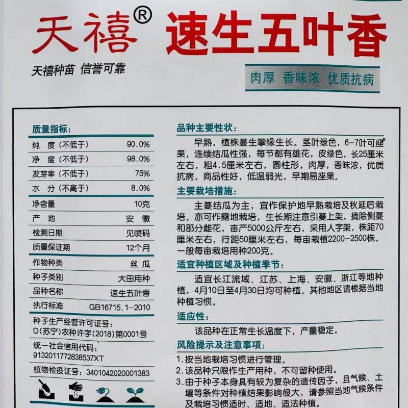 天禧速生五叶香丝瓜种子连续结瓜性强肉厚香味浓