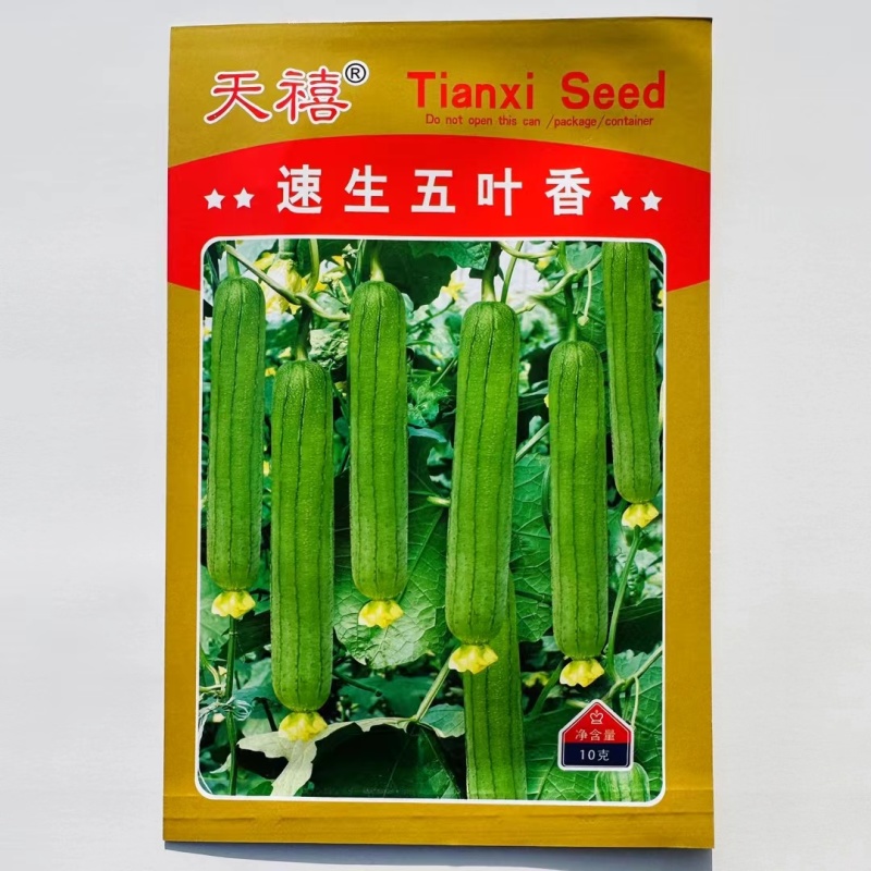 天禧速生五叶香丝瓜种子连续结瓜性强肉厚香味浓