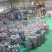 竹笋虫供应虫种供应1200方养殖场