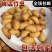 竹笋虫供应虫种供应1200方养殖场