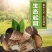 松茸干片生态松茸。人工松茸野生松茸