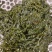 山东威海荣成腌渍马尾藻，今年的现货，支持一件代发欢迎垂询