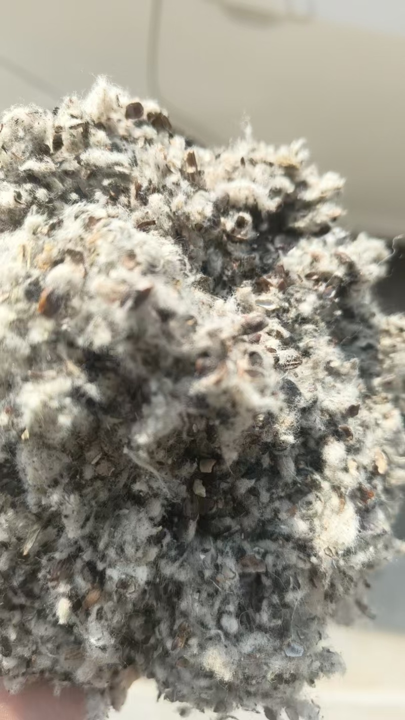 磨盘棉籽壳，棉籽壳