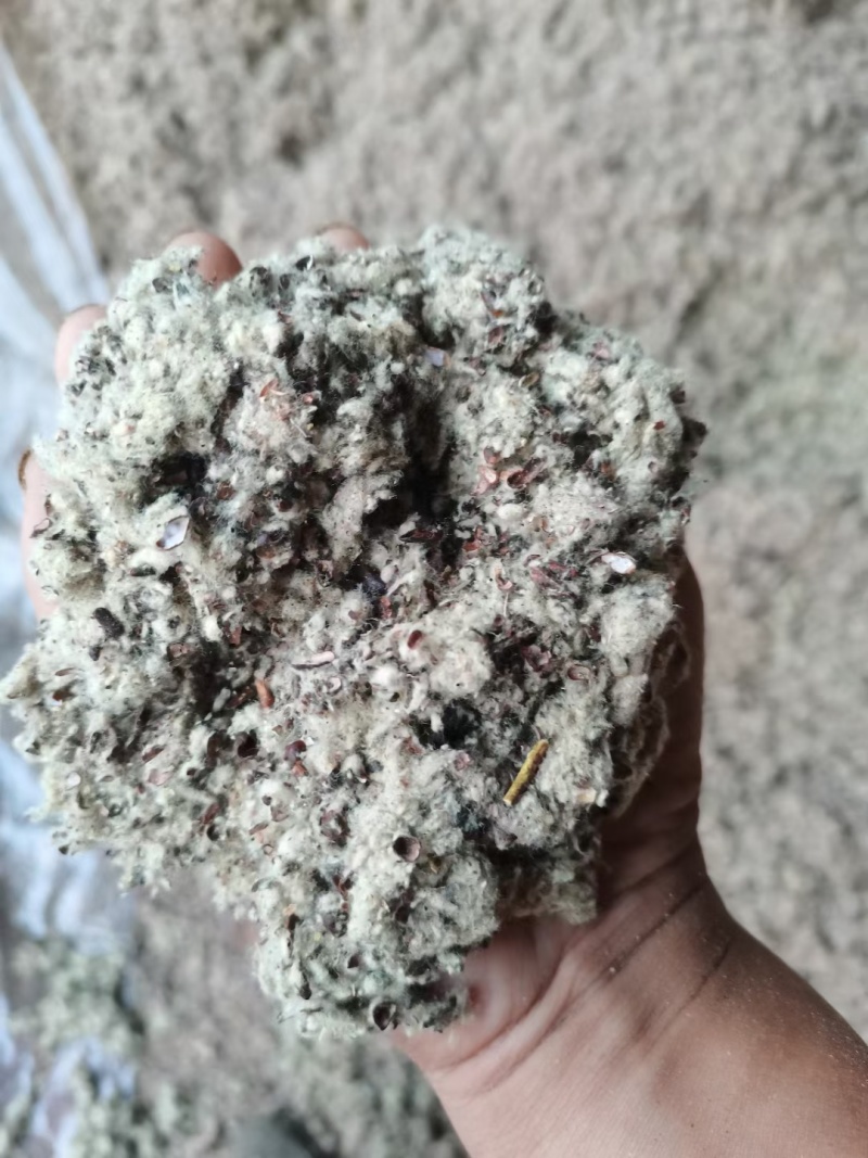 磨盘棉籽壳，棉籽壳