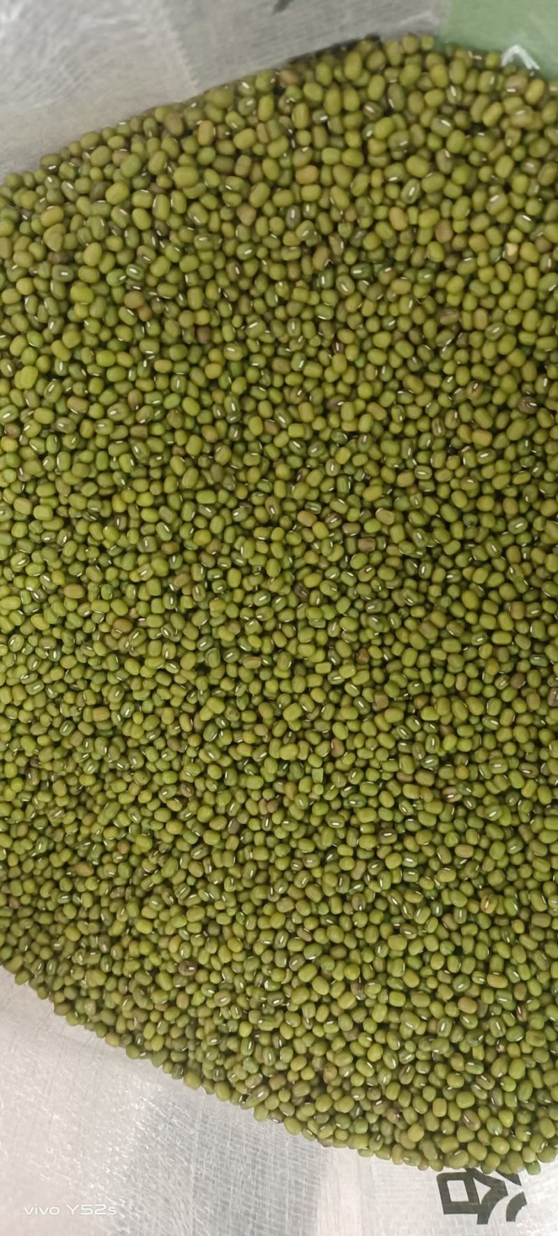 绿豆