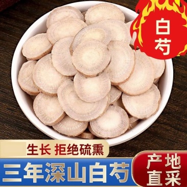 白芍批白芍一手货源可供实体店批发零售规格齐全量大价
