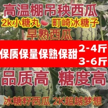 2k小吊瓜，L600西瓜，潍坊吊瓜，小西瓜，小糖丸吊瓜！